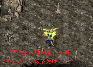 1.76��Ʒ����˽������ο��������ȼ���ΪPK֮����