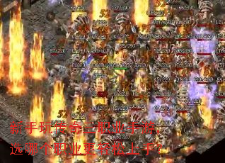 �����洫����ְҵ���Σ�ѡ�ĸ�ְҵ���������֣�