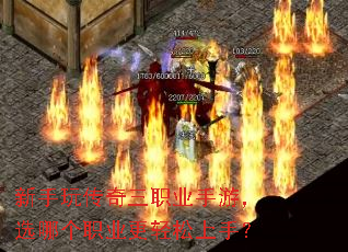 �����洫����ְҵ���Σ�ѡ�ĸ�ְҵ���������֣�