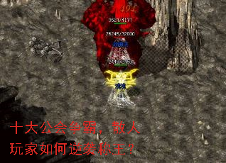 ʮ�󹫻����ԣ�ɢ����������Ϯ������