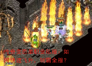 �����̬��ְҵ˽������ο��ٷ������ư�ȫ����