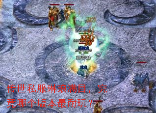 ����˽��������Ŀ�������ĸ��汾�����棿