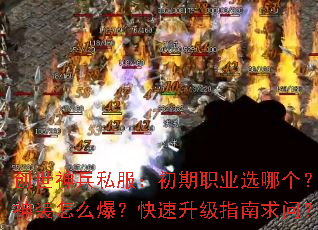 �������˽��������ְҵѡ�ĸ�����װ��ô������������ָ�����ʣ�