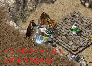 һԪ��ְҵ���棺ɢ�������ο�������