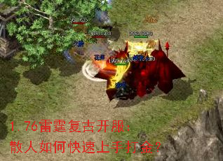 1.76�������ſ�����ɢ����ο������ִ��