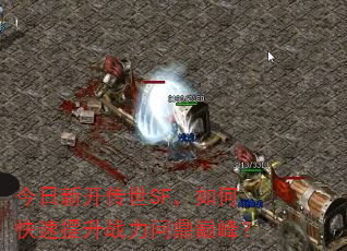 �����¿�����SF����ο�������ս���ʶ��۷壿