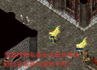��Ѫ����˽�����÷���α�����һ�Ծ����Ϸƽ�⣿