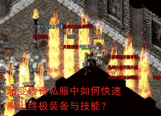 ���䴫��˽������ο���ˢ���ռ�װ���뼼�ܣ�