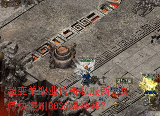 ���䵥ְҵ����˽��������ο���ˢBOSS����װ��