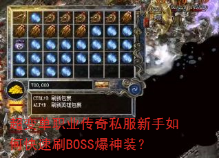 ���䵥ְҵ����˽��������ο���ˢBOSS����װ��
