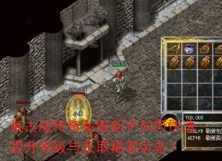 ���Ű洫��˽��������ο��������ȼ����ȡϡ��װ����
