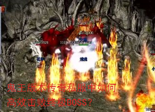 �����汾����˽������θ�Ч�����ռ�BOSS��