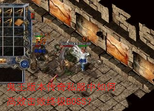 �����汾����˽������θ�Ч�����ռ�BOSS��