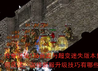 传奇游戏176合击与超变迷失版本如何选择?迦楼新服升级技巧有哪些? 传奇游戏176合击与超变迷失版本如何选择?迦楼新服升级技巧有哪些?