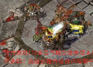 传奇游戏176合击与超变迷失版本如何选择?迦楼新服升级技巧有哪些? 传奇游戏176合击与超变迷失版本如何选择?迦楼新服升级技巧有哪些?