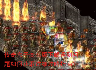 ������ӱ�̬����������������λ�ȡ��ϸ����ָ�ϣ�