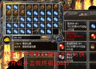 ��Ѫ���浥��˽��������ο��������������ռ�BOSS��
