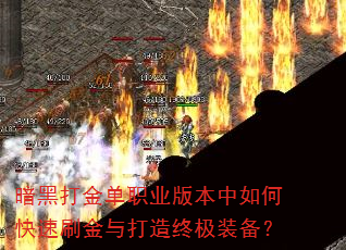 ���ڴ��ְҵ�汾����ο���ˢ��������ռ�װ����