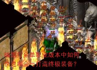 ���ڴ��ְҵ�汾����ο���ˢ��������ռ�װ����