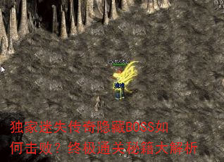 ������ʧ��������BOSS��λ��ܣ��ռ�ͨ���ؼ������