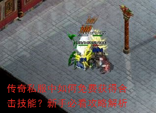 ����˽���������ѻ�úϻ����ܣ����ֱؿ����Խ���