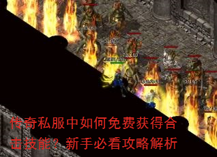 ����˽���������ѻ�úϻ����ܣ����ֱؿ����Խ���