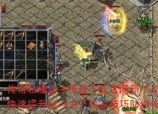 传奇私服霸主传奇下载官网新手如何快速提升战斗力?独家技巧助你称霸 传奇私服霸主传奇下载官网新手如何快速提升战斗力?独家技巧助你称霸