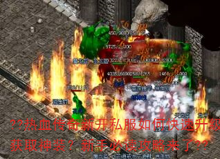 ??��Ѫ�����¿�˽����ο���������ȡ��װ�����ֱض���������??