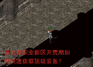 ���ŵ�ְҵ������������ο��ٻ�ȡ����װ����
