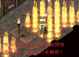 传奇私服单职业新手如何快速升级?必备技巧全解析? 传奇私服单职业新手如何快速升级?必备技巧全解析?
