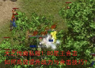 天之传奇私服1.80星王合击如何高效提升战力与合击技巧? 天之传奇私服1.80星王合击如何高效提升战力与合击技巧?