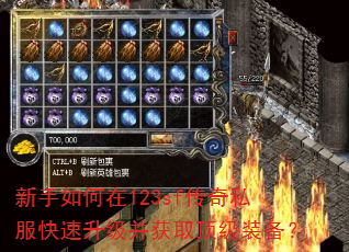 ���������123sf����˽��������������ȡ����װ����