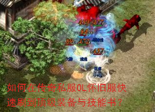 ����ڴ���˽��OL���ɷ�����ˢ������װ���뼼���飿