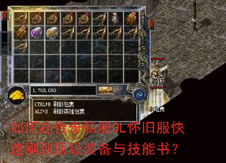����ڴ���˽��OL���ɷ�����ˢ������װ���뼼���飿