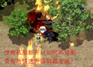 ����˽���¿�sf��θ�Чˢװ������������ư�ȫ����