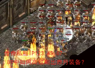 ����˽��IP123.45.67.89����θ�Чˢ������װ����