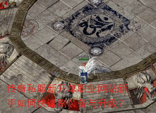 ����˽���¿���ְҵ��վ������ο���ˢװ����������
