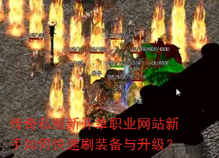 ����˽���¿���ְҵ��վ������ο���ˢװ����������