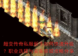 ���䴫��˽��������ο���������ְҵѡ����װ����ȡ���Է���