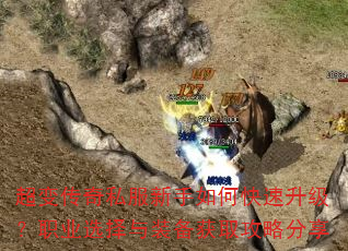 ���䴫��˽��������ο���������ְҵѡ����װ����ȡ���Է���