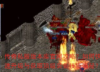 ����˽���汾��������ԣ���ο����������ȡ����װ�����ɽ��أ�