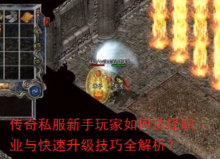 ����˽������������ѡ��ְҵ�������������ȫ������