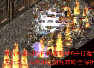 ����˽��������ɶ���NPC������ר���淨�������ɶ���Ϸ����ȫ������