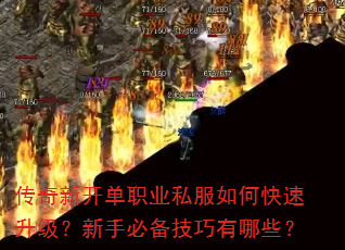 �����¿���ְҵ˽����ο������������ֱر���������Щ��