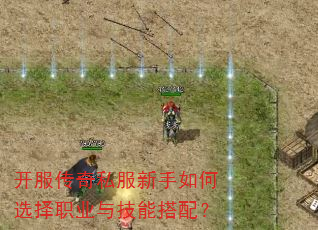 ��������˽���������ѡ��ְҵ�뼼�ܴ��䣿