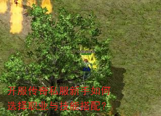 ��������˽���������ѡ��ְҵ�뼼�ܴ��䣿