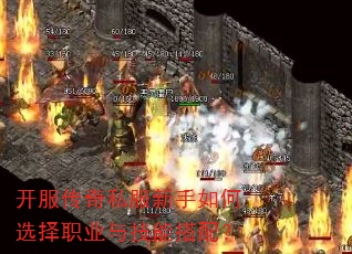 ��������˽���������ѡ��ְҵ�뼼�ܴ��䣿
