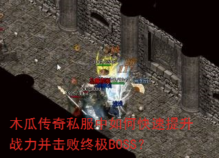 ľ�ϴ���˽������ο�������ս���������ռ�BOSS��