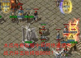 ľ�ϴ���˽������ο�������ս���������ռ�BOSS��