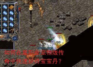 ����ڵ�ְҵ����洫���п��ٻ�ñ�������